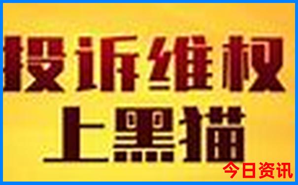 四肖期期准四肖期期准